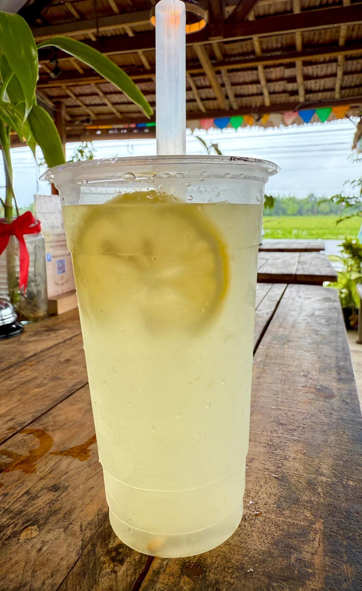 Fresh-Squeezed Lemonade